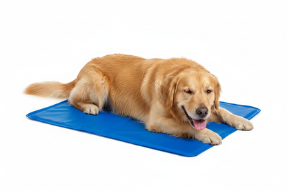 Cane sul cuscino gel refrigerante