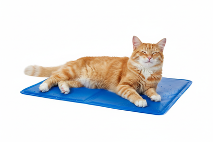 Gatto sul cuscino gel refrigerante